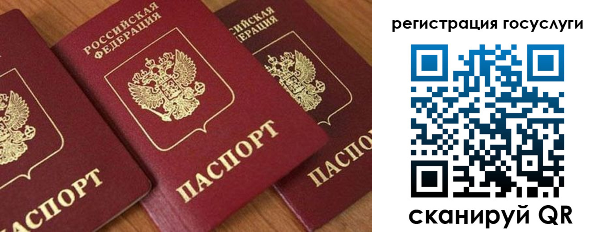 временная регистрация гарантия в Волгоградской области